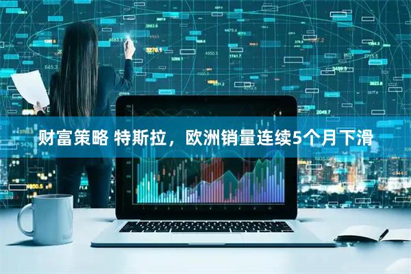 财富策略 特斯拉，欧洲销量连续5个月下滑