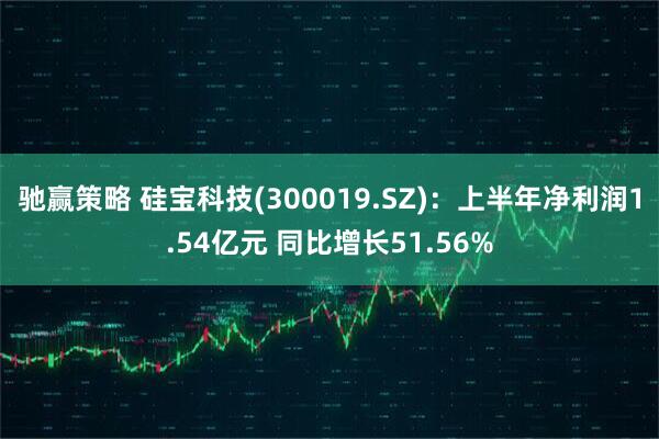 驰赢策略 硅宝科技(300019.SZ)：上半年净利润1.54亿元 同比增长51.56%